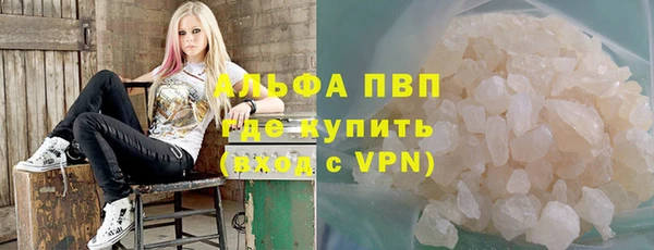 молекула духа Костерёво
