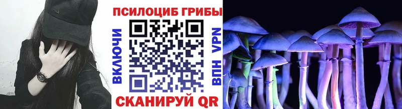 Псилоцибиновые грибы мухоморы  Купить закладки  Боготол 