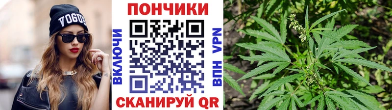 Купить  Боготол  Бошки Шишки ГИДРОПОН 
